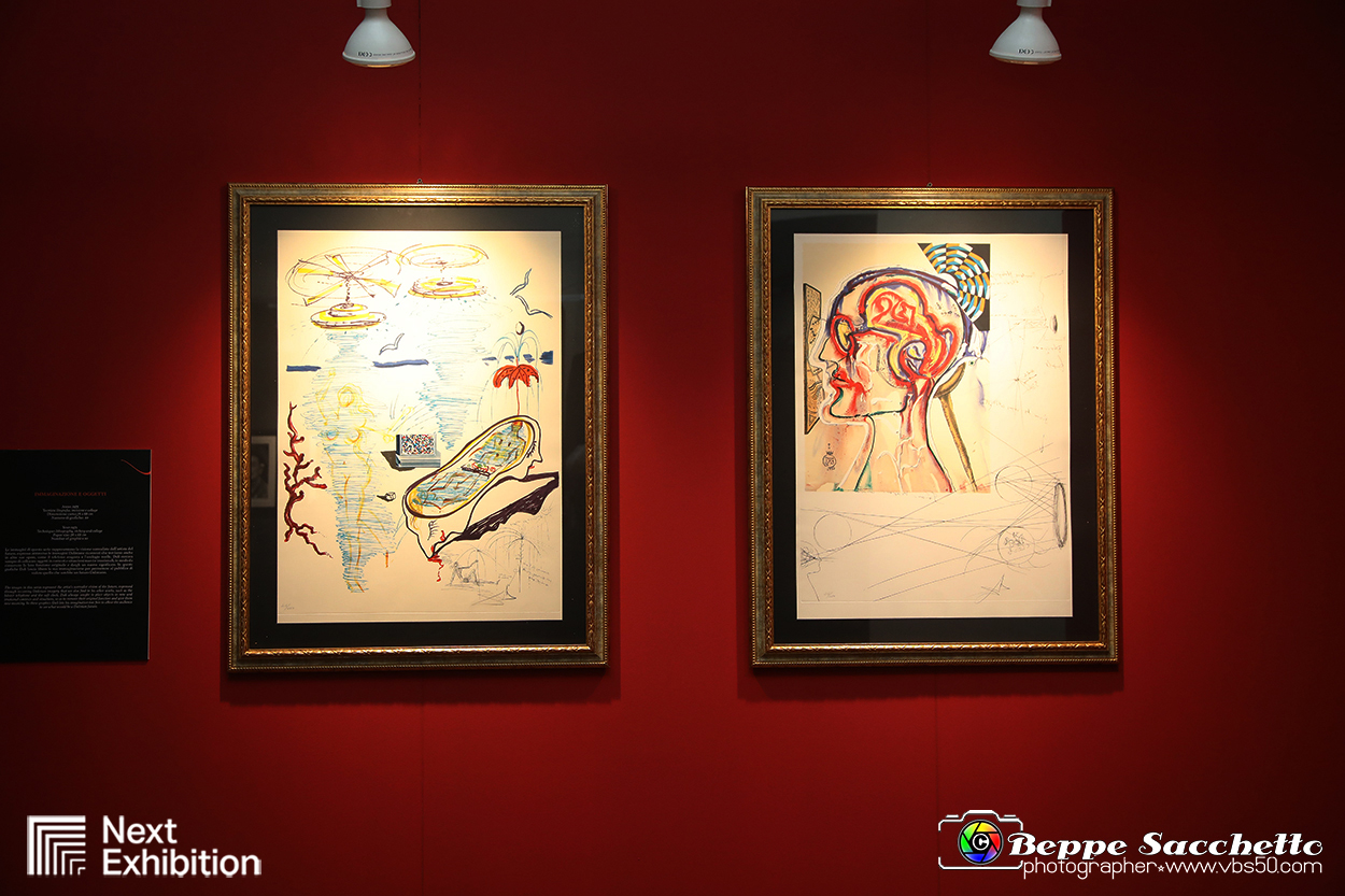 VBS_7688 - Salvador Dalì - The Exhibition.jpg